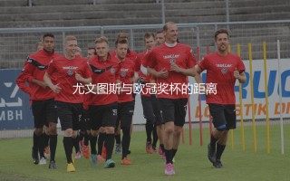 尤文图斯上一次获得欧冠冠军什么时候？尤文图斯与欧冠奖杯的距离