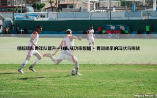 挪超球队青年队晋升一线队成功率数据解析