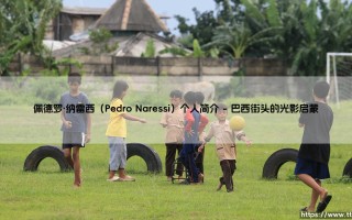 佩德罗·纳雷西（Pedro Naressi）个人简介-足坛风向标