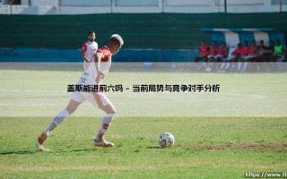 盖斯能进前六吗？：深度剖析这位选手的突围之路