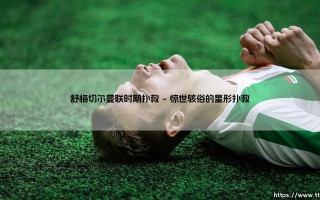 舒梅切尔曼联时期扑救：红魔门神如何铸就传奇？「伟大扑救背后的激情与智慧」