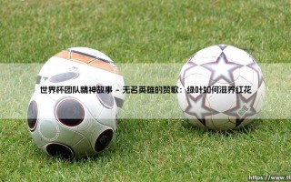 世界杯团队精神故事：绿茵场上超越胜负的永恒光辉