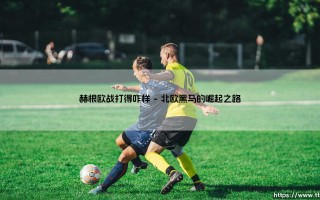 赫根欧战打得咋样：北欧新贵的欧陆征程启示录