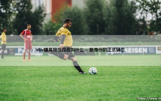 sbv精英现在改名叫什么【远方的球门】