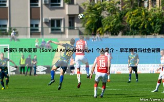 萨缪尔·阿米亚耶是谁？——探索「Samuel Amo-Ameyaw」的多彩人生