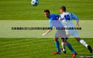 探寻巴西足球的北欧足迹：盘点那些曾在哥德堡队效力过的巴西球星