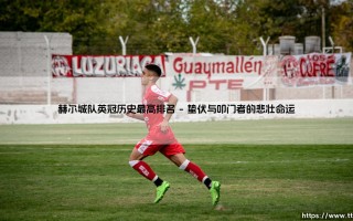 赫尔城队英冠最高排名：昔日荣耀与当下救赎
