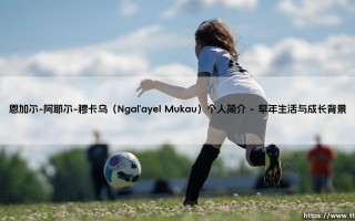 恩加尔-阿耶尔-穆卡乌（Ngal'ayel Mukau）：探索一位非凡人物的生命旅程？「恩加尔-阿耶尔-穆卡乌：他是如何成为时代的象征？」