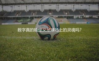 维尔米伦比利时国家队号码：数字真的能定义足球场上的灵魂吗？