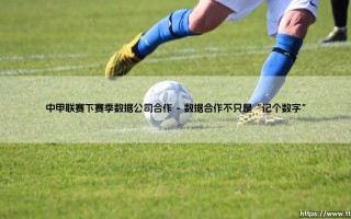 中甲联赛下赛季数据公司合作，新篇章还是老剧本？：数据赋能如何重塑「中国足球的基石」？