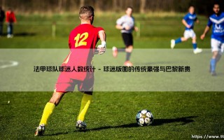 法甲球队球迷人数统计：绿茵场外的激情版图