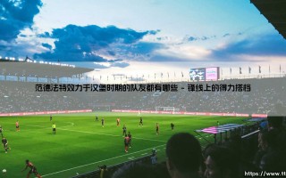范德法特效力汉堡时期的队友大盘点