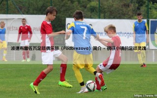 波德布雷佐瓦足球俱乐部（Podbrezova）简介_足球早晚报