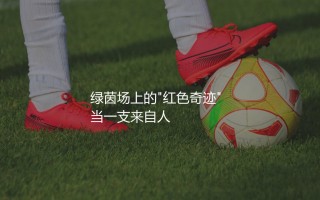 卡拉巴赫是哪个国家的足球俱乐部？欧冠绿茵场上的"红色奇迹"