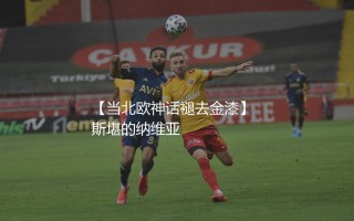 瑞典队历史最佳射手是谁？当北欧神话褪去金漆