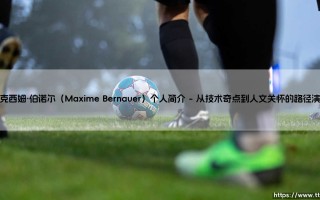 马克西姆·伯诺尔：在科技与人文交叉点重塑未来的思考者