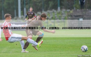 菲戈职业生涯在欧洲杯比赛里有多少进球【足球故事】