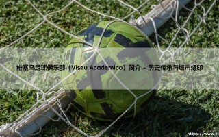 维塞乌足球俱乐部简介