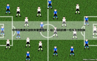 中甲联赛俱乐部财务管理现状：绿茵场下的隐秘角力