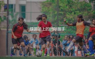 2024年美洲杯在哪里举办的？绿茵场上的洲际握手