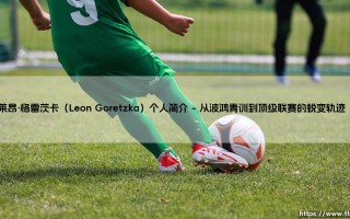 莱昂·格雷茨卡：现代全能中场的进化论与德意志战车的隐形脊柱