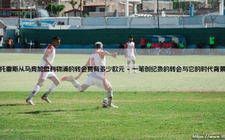 托雷斯从马竞加盟利物浦的转会费有多少欧元——东方体育