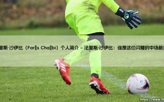 法里斯·沙伊比（Farès Chaïbi）个人简介——从草根到足坛新星的崛起之路