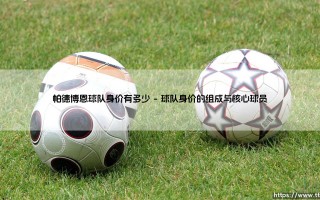 帕德博恩球队身价有多少？揭秘这支德乙劲旅的财务与竞技实力