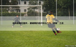 维埃里算巨星吗？一个被时代与伤病定义的“现象”