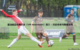 曼海姆足球俱乐部（VfR Mannheim）简介|体坛足球家