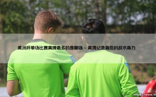 美洲杯单场比赛黄牌最多的是哪场？足球暴力与裁判尺度的微妙博弈