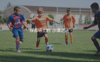 乌兹别克斯坦队参加过世界杯吗？中亚狼绿茵场上的"沙漠之谜"
