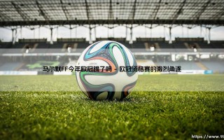 马尔默FF今年欧冠征程：北欧豪门的欧战之路与未来展望