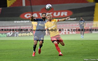 科贾埃利体育足球俱乐部：黑海之滨的绿茵守望者