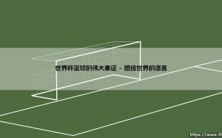 世界杯足球的伟大象征|磁儿足球说