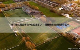 波尔图队转会市场的净收益：精明运营的典范还是生存的必然？