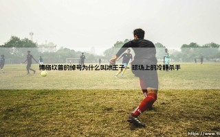 博格坎普的绰号为什么叫冰王子(绿茵速报)