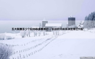 五大联赛欧协联席位解析：欧洲次级战场的参赛权争夺