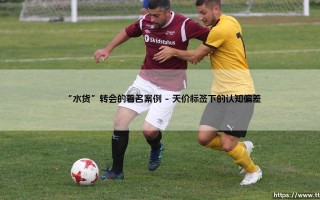 “水货”转会的迷雾与启示