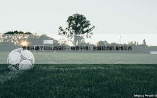 罗本从哪个球队退役的：一段传奇落幕的起点与终点