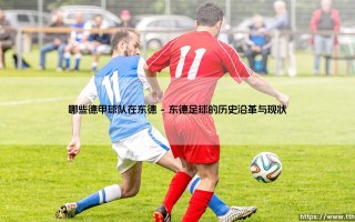 哪些德甲球队在东德：探寻统一后的足球版图变迁