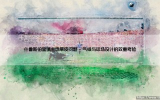 什鲁斯伯里镇主场草皮问题的背后