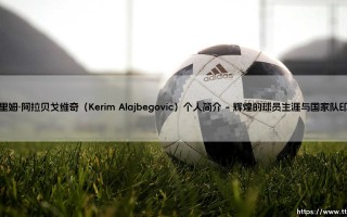克里姆·阿拉贝戈维奇：从球场硬汉到教练席的智慧传承者