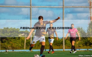 丹麦超级联赛Reddit热议：北欧足球的英文讨论风暴