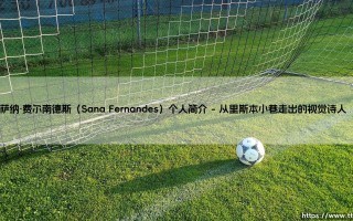 萨纳·费尔南德斯是谁？- 探索多面艺术家「Sana Fernandes」的传奇人生