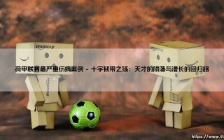 荷甲联赛最严重伤病案例：绿茵场上那些令人心碎的记忆