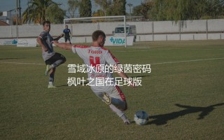 加拿大队世界足联FIFA排名多少？枫叶之国的绿茵密码