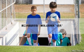 德乙赛场惊现“狗球员”：一场足球赛的意外插曲