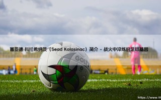 塞亚德·科拉希纳茨：从街头足球到顶级联赛的钢铁战士