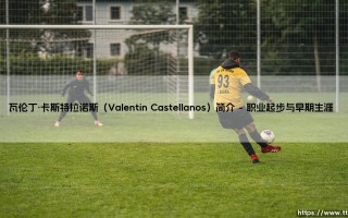 瓦伦丁·卡斯特拉诺斯（Valentin Castellanos）简介完整指南